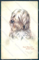 Animals Maud West Watson English Sheep Dog Tucks Oilette 8837 Postcard TW1327 - Sonstige & Ohne Zuordnung