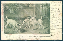 Animals Daele Dog Fox Terrier Serie 132 Cartolina Postcard TW1190 - Sonstige & Ohne Zuordnung