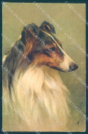 Animals Arthur Wardle Dog Collie Serie 111 Cartolina Postcard TW1205 - Sonstige & Ohne Zuordnung