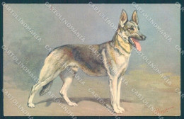 Animals Rivst Dog Alsatian Wolfhound Serie 97 Cartolina Postcard TW1203 - Sonstige & Ohne Zuordnung