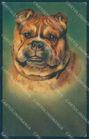 Animals Dog English Bulldog Velvet Serie 614 Cartolina Postcard TW1202 - Sonstige & Ohne Zuordnung