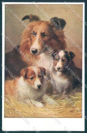 Animals Reichert Collie Dog Theo Stroefer 1544 Cartolina Postcard TW1216 - Sonstige & Ohne Zuordnung