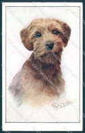 Animals Florence Valter Dog Norfolk Terrier Serie 1460-3 Postcard TW1132 - Sonstige & Ohne Zuordnung