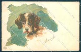 Animals Dog German Spaniel GCC Cartolina Postcard TW1146 - Sonstige & Ohne Zuordnung