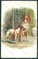Animals Dog Fox Terrier Collie Serie 2837 TEAR Cartolina Postcard TW1063 - Sonstige & Ohne Zuordnung