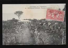 Nouvelles Hébrides Campagne Du Kersaint Plantation De Foreland Timbre Stamp , Noix De Coco édit. De Béchade  N° 19 - Vanuatu