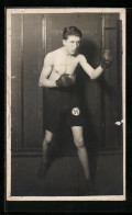 AK Boxer Mit Ernstem Blick In Drohender Pose  - Boxing