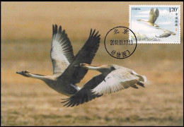 China Maximum Card 2018-22 Wild Goose,1 Pcs - Maximum Cards