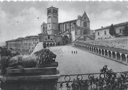 CPSM Assisi-Basilica Di San Francesco    L2857 - Otros & Sin Clasificación
