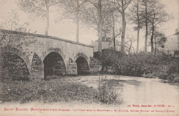 BE23  -BLAISE MOYENMOUTIER DANS LES VOSGES LE PONT SUR LA MEURTHE A ST BLAISE    CPA  CIRCULEE - Sonstige & Ohne Zuordnung