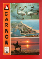 34 - CARNON  . " PORTE DE LA CAMARGUE . MULTI-VUES . FLAMANT ROSE - Réf. N°38957 - - Sonstige & Ohne Zuordnung