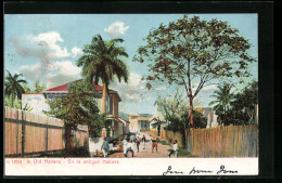 AK Habana, En La Antigua  - Cuba