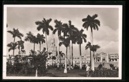 AK Havana, Panorama  - Cuba