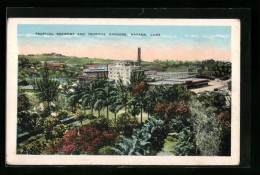 AK Havana, Tropical Brewery And Tropical Gardens  - Cuba