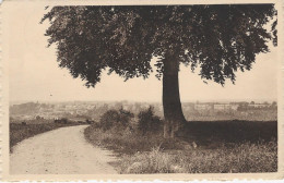 NEUFCHÂTEAU : L'arbre De La Justice - Neufchateau