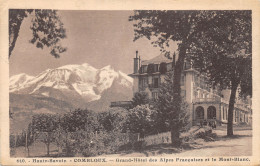 74-COMBLOUX-GRAND HOTEL DES ALPES FRANCAISES-N 6012-B/0291 - Combloux