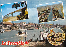 17-LA TREMBLADE-N°4150-C/0255 - La Tremblade