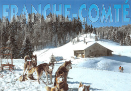 39-FRANCHE COMTE PAYSAGE DE NEIGE-N°4154-D/0033 - Autres & Non Classés