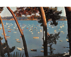 35-DINARD-N°4155-B/0275 - Dinard