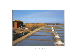 17-ILE DE RE-N°4156-C/0001 - Ile De Ré