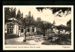 AK Neukirch /Lausitz, Gasthaus Georgenbad Mit Garten  - Neukirch (Lausitz)