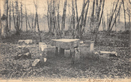 18-MEILLANT-LE CHÂTEAU DE MEILLANT-TABLES DES TROIS SEIGNEURS-N T6019-C/0153 - Meillant