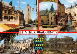 45-BEAUGENCY-N°4160-C/0187 - Beaugency