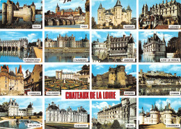 49-CHATEAUX DU VAL DE LOIRE-N°4160-B/0333 - Andere & Zonder Classificatie