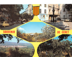 66-CERET-N°4162-D/0211 - Ceret