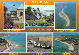 22-PLEUBIAN-N°4162-D/0159 - Pleubian