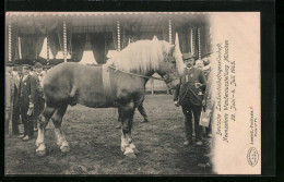 AK München, Deutsche Landwirtschaftsgesellschaft, 19. Wanderausstellung 1905  - Exhibitions