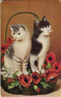 Zwei Katzen In Blumenkorb, Gelaufen 1917 - Chats