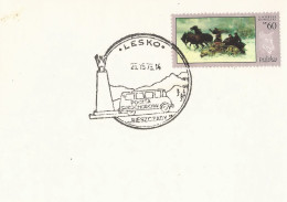 Poland Postmark D75.19.25 LESKO.05: Car Post  Monument K.Swierczewski (error In Date) - Stamped Stationery