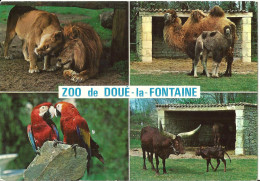 1862 Doué La Fontaine - Zoo De Doué - Doue La Fontaine