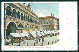 Padova Città Piazza Dell'Erbe Palazzo Ragione Trenkler 4560 Cartolina RB9744 - Padova