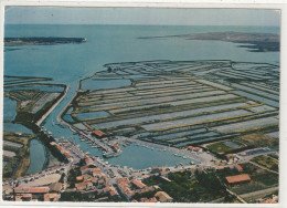 108 DEPT 17 : édit. Artaud Frères N° 455 : Ars Vue D'ensemble Du Port Et Des Marais " Ile De Ré " - Ile De Ré