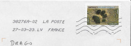 YT 1957 Autocollant - Empreinte De Lion D'Afrique - Félin - Enveloppe Entière - Roofkatten