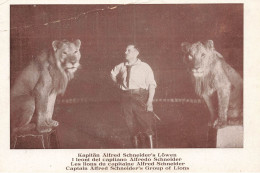 Cirque Circus * CPA * Kapitän Alfred SCHNEIDER'S LÖWEN * Les Lions - Cirque