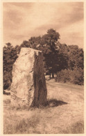 St Brévin L'océan * La Pierre Attelée , Colonie Sanitaire * Dolmen Menhir Pierre Pierres Monolithe Mégalithe - Saint-Brevin-l'Océan