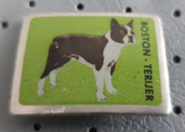 BOSTON TERRIER  Dog Slovenia Pin - Dieren