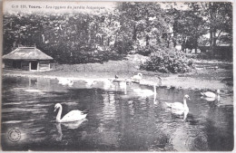 37 - TOURS - Les Cygnes Du Jardin Botanique - Tours