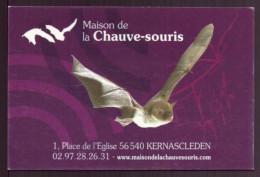 CARTE PUBLICITAIRE MAISON DE LA CHAUVE SOURIS A KERNASCLEDEN - Visitekaartjes