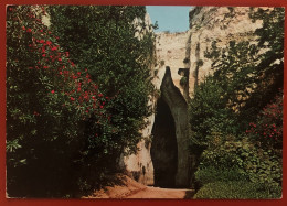 SIRACUSA - Orecchio Di Dionisio - 1985 (c681) - Siracusa