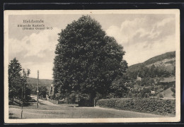 AK Bleicherode, Blühende Kastanie, Förster Genzel Strasse  - Bleicherode