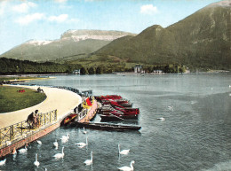 FRANCE - Annecy - Au Bord Du Lac - Les Cygnes - Colorisé - Carte Postale - Annecy