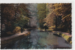 AX-les-THERMES  .  UN COIN DU PARC DU TEICH  .  CARTE NON ECRITE - Ax Les Thermes