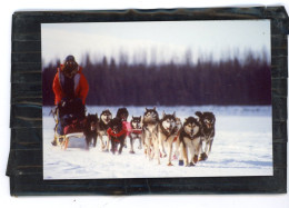 Diapositive Et Photo Originale .  Chiens De Traineaux  , HUSKY ,  MALAMUTE D'ALASKA .. Photos  VINITZKY VLADIMIR   1987 - Places