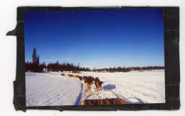 Diapositive Et Photo Originale .  Chiens De Traineaux  , HUSKY ,  MALAMUTE D'ALASKA .. Photos  VINITZKY VLADIMIR   1987 - Luoghi