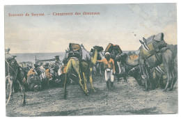 TR 21 - 14455 SMYRNE, Turkey, Caravan Of Camels - Old Postcard - Used - 1911 - Türkei