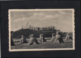 Post Card Lithuania LT Pc 103 SIAULIAI Hill Of Crosses Photographer V. Augustinas - Litouwen